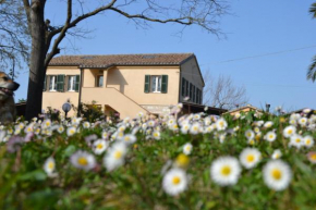 Il Mandorlo - Agriturismo e Azienda Agricola Ferrato